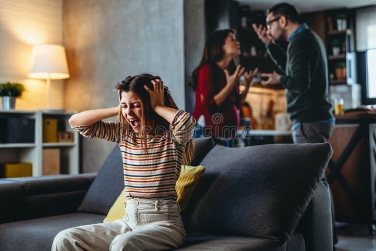 Quelle est l&rsquo;histoire principale de la BD Fais pas ci fais pas ça