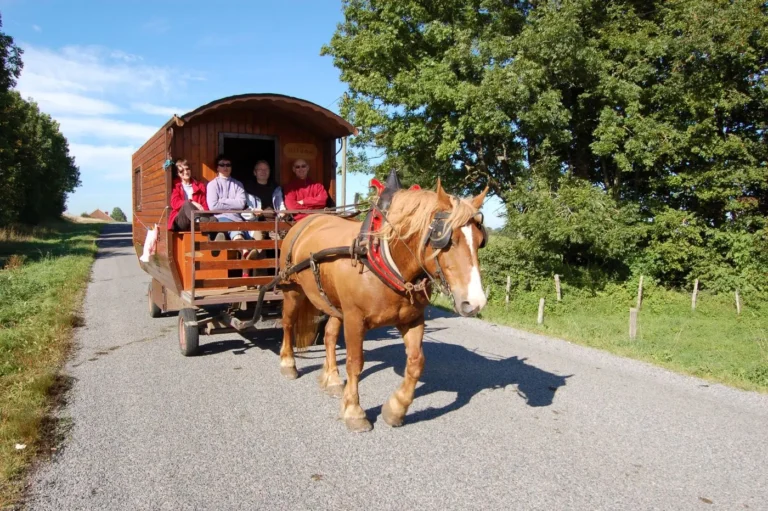 famille voyageant en caravane sur route campagne