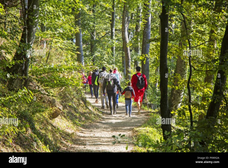 Quelles Activités Peut-On Faire Dans La Forêt D&rsquo;Issy-Les-Moulineaux